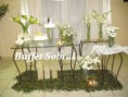 /album/fotos/mesa-de-bolo-decorada-buffet-sobral-1-jpg/